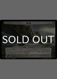 FOIL] 山賊の頭の間/Hall of the Bandit Lord No.427 (ネオンインク版