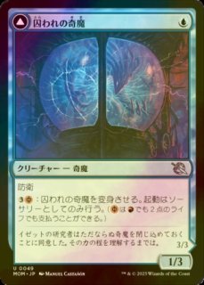 FOIL] 激浪の研究室/Riptide Laboratory 【日本語版】 [MH2-土地R