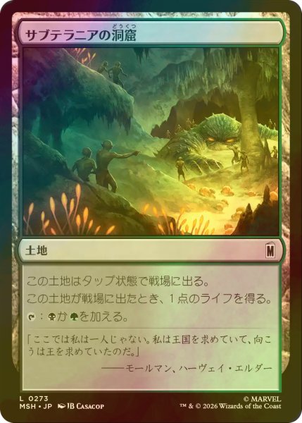 画像1: [FOIL] サブテラニアの洞窟/Subterranean Cavern 【日本語版】 [MSH-土地C] (1)