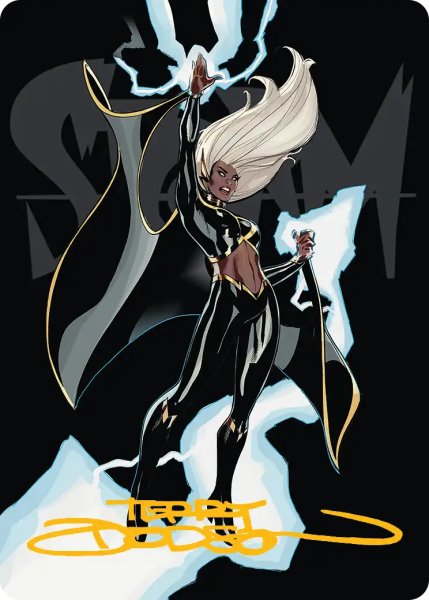 画像1: ウィンドライダー、ストーム/Storm, Windrider No.030 (箔押し版) 【日本語】 [MSH-アート] (1)