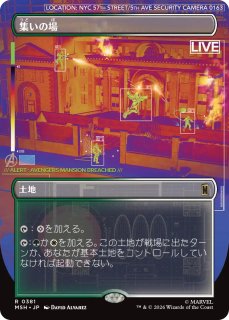 花を手入れする者/Bloom Tender (ショーケース版) 【日本語版】 [ECL
