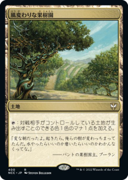 画像1: 風変わりな果樹園/Exotic Orchard 【日本語版】 [NCC-土地R] (1)