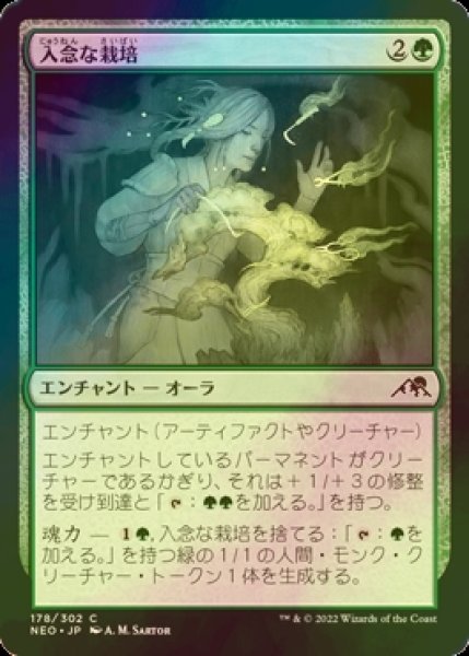 画像1: [FOIL] 入念な栽培/Careful Cultivation 【日本語版】 [NEO-緑C] (1)