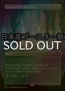 FOIL] 証明するもの、クアンドリクス/Quandrix, the Proof (全面アート