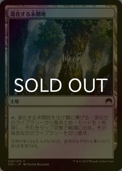 画像1: [FOIL] 進化する未開地/Evolving Wilds 【日本語版】 [ORI-土地C] (1)