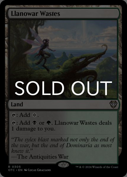 画像1: ラノワールの荒原/Llanowar Wastes 【英語版】 [OTC-土地R] (1)