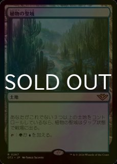 FOIL] 嵐追いの才能/Stormchaser's Talent 【日本語版】 [BLB-青R