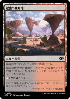 【Foil】見捨てられた都市/Forsaken City[PLS]日本語 05271748_629090624a49f.jpg