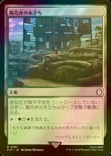 ☆MTG MRD Foil 森の占術/Sylvan Scrying 日本語☆ - 緑