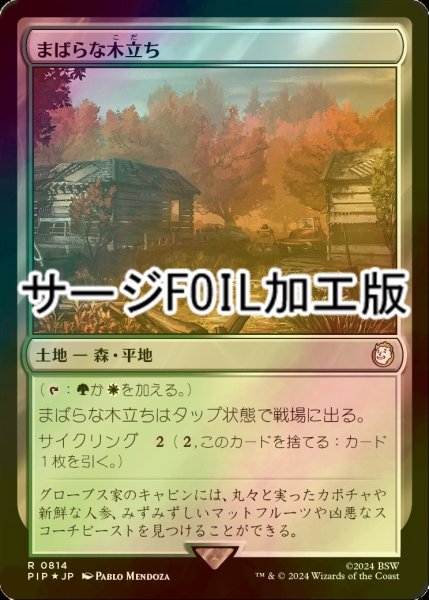 画像1: [FOIL] まばらな木立ち/Scattered Groves No.814 (サージ仕様) 【日本語版】 [PIP-土地R] (1)