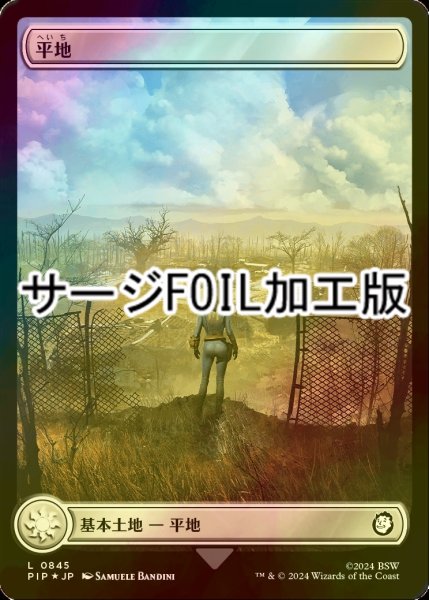 画像1: [FOIL] 平地/Plains No.845 (全面アート版・サージ仕様) 【日本語版】 [PIP-土地C] (1)