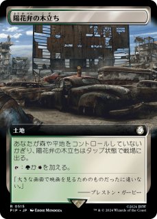 無声開拓地 foil 3枚 豪華ラッピング無料 FOIL)無声開拓地/Silent Clearing《日本語