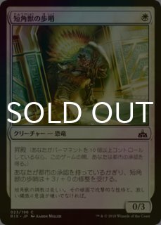 トレジャーハンター、ロック/拡張アートfoil FOIL] - シングルスター