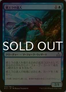 イクサランの相克 暴走する角冠 日本語 1枚 イクサランの相克｜カードギャラリー｜マジック：ザ・ギャザリング