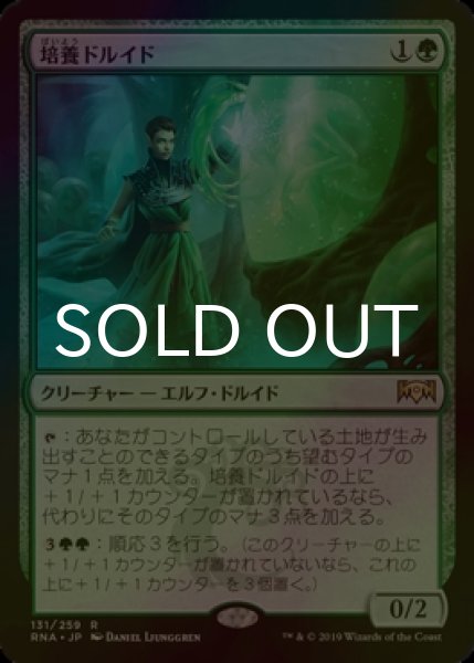 画像1: [FOIL] 培養ドルイド/Incubation Druid 【日本語版】 [RNA-緑R] (1)