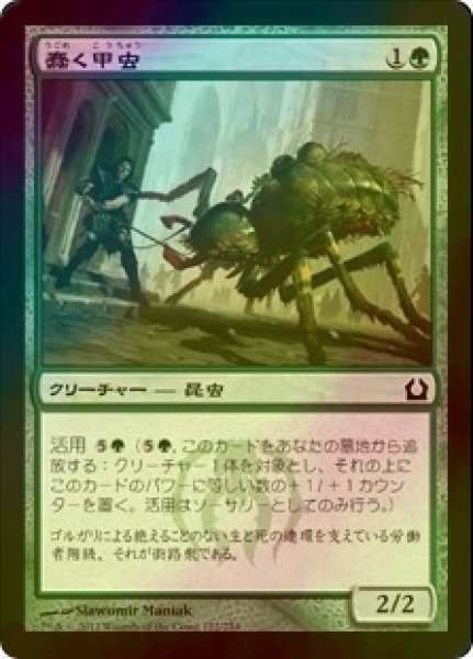 画像1: [FOIL] 蠢く甲虫/Drudge Beetle 【日本語版】 [RTR-緑C] (1)