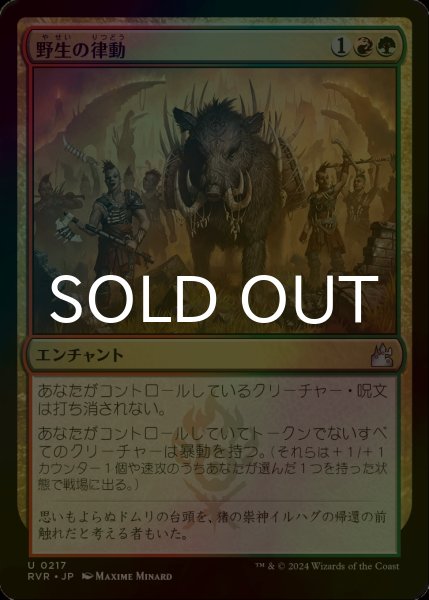 画像1: [FOIL] 野生の律動/Rhythm of the Wild 【日本語版】 [RVR-金U] (1)