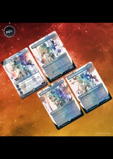 MTG マジック：ザ・ギャザリング エルドレインの森 コレクター
