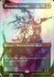 画像1: [FOIL] ファイレクシアの十字軍/Phyrexian Crusader (コンプリート仕様) 【英語版】 [SLD-黒R] *詳細要確認 (1)