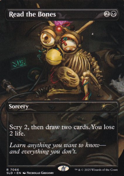 画像1: 骨読み/Read the Bones No.7066 【英語版】 [SLD-黒R] (1)