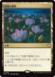苦花を携える者/Bitterbloom Bearer 【日本語版】 [ECL-黒MR