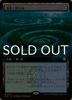 煌びやかなる豪奢/Gleaming Splendor (全面アート版) 【日本語版