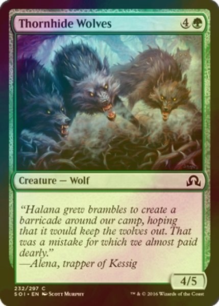 画像1: [FOIL] 茨隠れの狼/Thornhide Wolves 【英語版】 [SOI-緑C] (1)