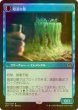 画像2: [FOIL] 神出鬼没な拷問者/Elusive Tormentor 【日本語版】 [SOI-黒R] (2)