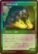 画像2: [FOIL] 古き知恵の賢者/Sage of Ancient Lore 【日本語版】 [SOI-緑R] (2)