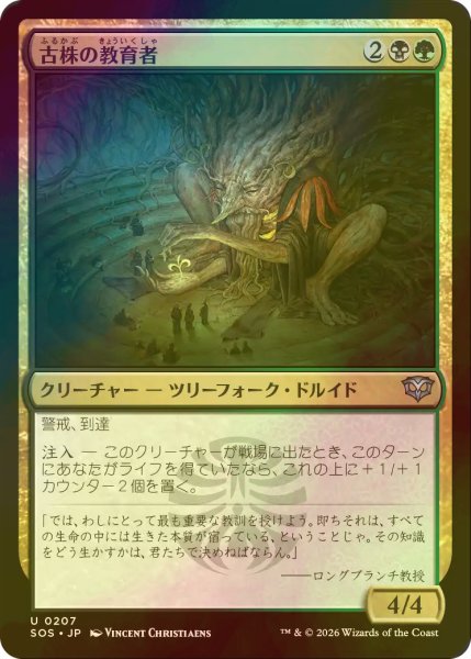 画像1: [FOIL] 古株の教育者/Old-Growth Educator 【日本語版】 [SOS-金U] (1)