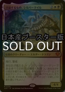 FOIL] 鍵の主/The Master of Keys (全面アート版) 【日本語版】 [DSC