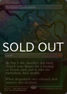 乾燥台地 ドラゴンスケイル・Foil MTG 乾燥台地/Arid Mesa