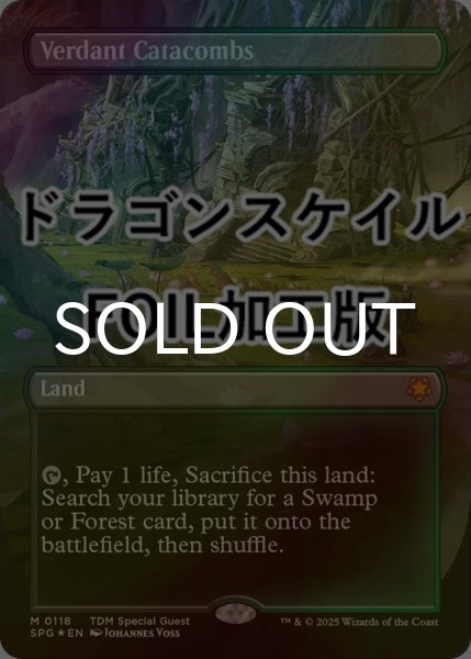 画像1: [FOIL] 新緑の地下墓地/Verdant Catacombs No.118 (全面アート版・ドラゴンスケイル仕様) 【英語版】 [SPG-土地MR] (1)