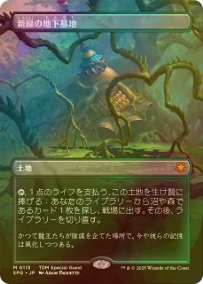 値下げアイテム Pick Up!! - MTG専門店シングルスター