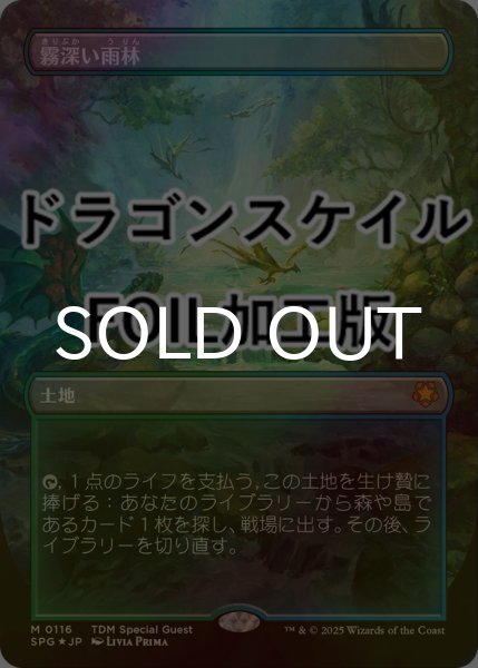 画像1: [FOIL] 霧深い雨林/Misty Rainforest No.116 (全面アート版・ドラゴンスケイル仕様) 【日本語版】 [SPG-土地MR] (1)