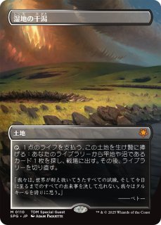 霧深い雨林/Misty Rainforest (全面アート版) 【日本語版】 [SPG