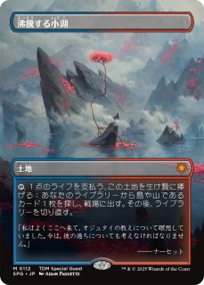 湿地の干潟 日本語 4枚セット - メルカリ