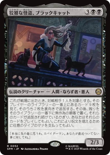 画像1: 狡猾な怪盗、ブラックキャット/Black Cat, Cunning Thief 【日本語版】 [SPM-黒R] (1)