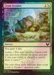 FOIL] アガディームの覚醒/Agadeem's Awakening (拡張アート版