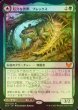 画像1: [FOIL] 厄介な害獣、ブレックス/Blex, Vexing Pest 【日本語版】 [STX-緑MR] (1)