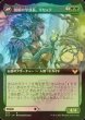 画像2: [FOIL] 血流の学部長、ヴァレンティン/Valentin, Dean of the Vein (拡張アート版) 【日本語版】 [STX-黒R] (2)