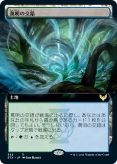 MTG ドラニスの判事 日本語版拡張Foil マジック：ザ・ギャザリング