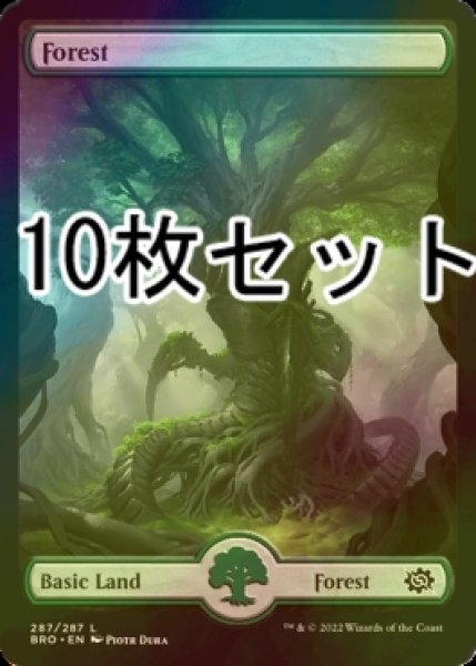 画像1: [FOIL] 森/Forest No.287 10枚セット 【英語版】 [BRO-土地L] (1)