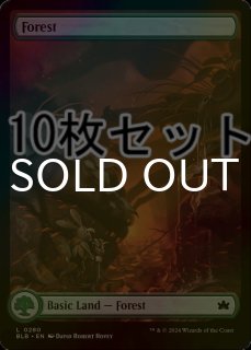 セット販売 - シングルスター