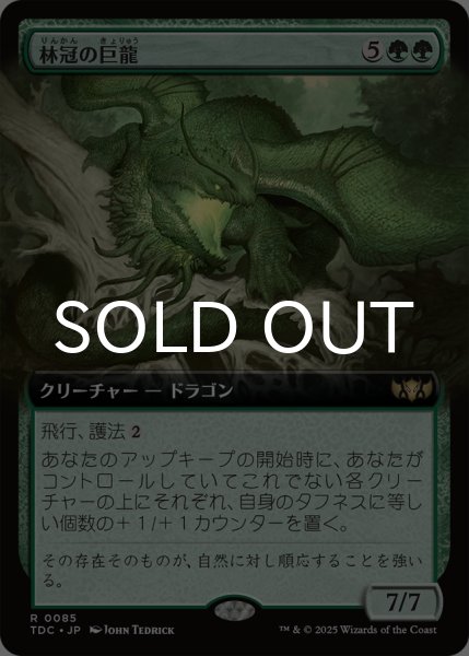 画像1: 林冠の巨龍/Canopy Gargantuan (拡張アート版) 《特価品》 【日本語版】 [TDC-緑R] (1)