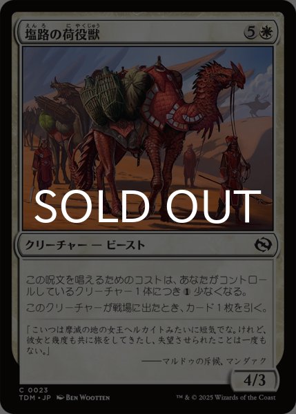 画像1: 塩路の荷役獣/Salt Road Packbeast 【日本語版】 [TDM-白C] (1)