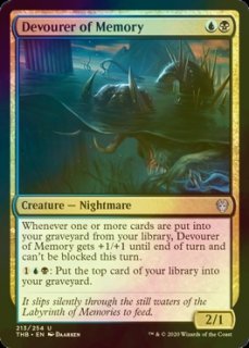 FOIL] 行き届いた書庫/Meticulous Archive 【英語版】 [MKM-土地