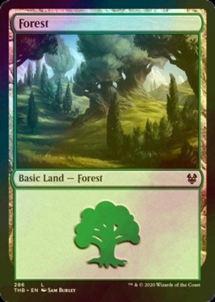 画像1: [FOIL] 森/Forest No.286 【英語版】 [THB-土地C] (1)