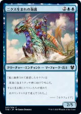 在庫一掃セール売れ筋ランキング 日本語 DOM 4枚セット】マー