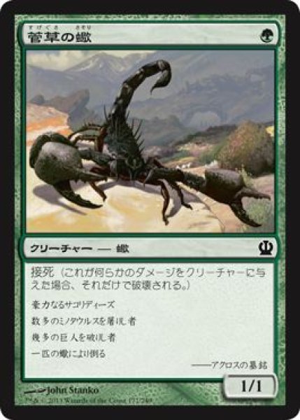 画像1: 菅草の蠍/Sedge Scorpion 【日本語版】 [THS-緑C] (1)